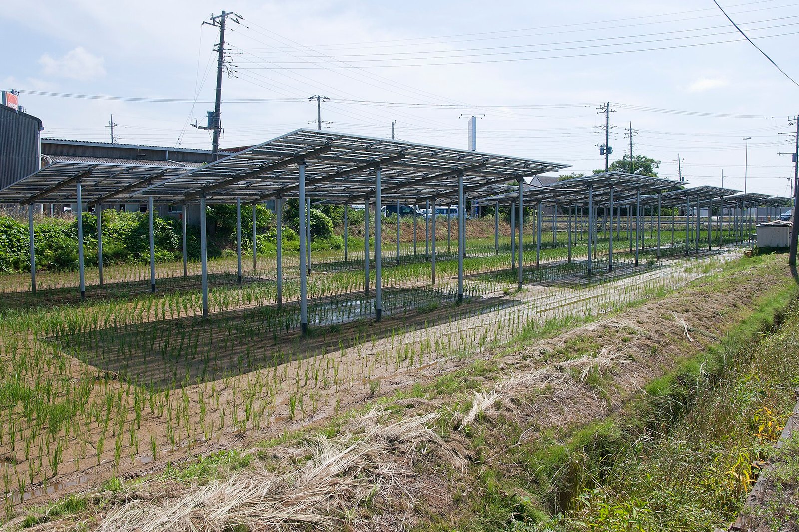 Powering operations with energy services